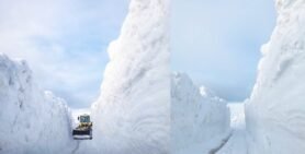 Karla Mücadele’de Sis Dağı Yaylasında Kar Kalınlığı 3 Metreyi Aştı