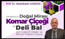 Prof Dr. Abdülkadir Gündür Deli Bal İçin Tüketim Uyarısı