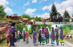  Şalpazarı’nda Geleneksel Yayla Göçü Başladı