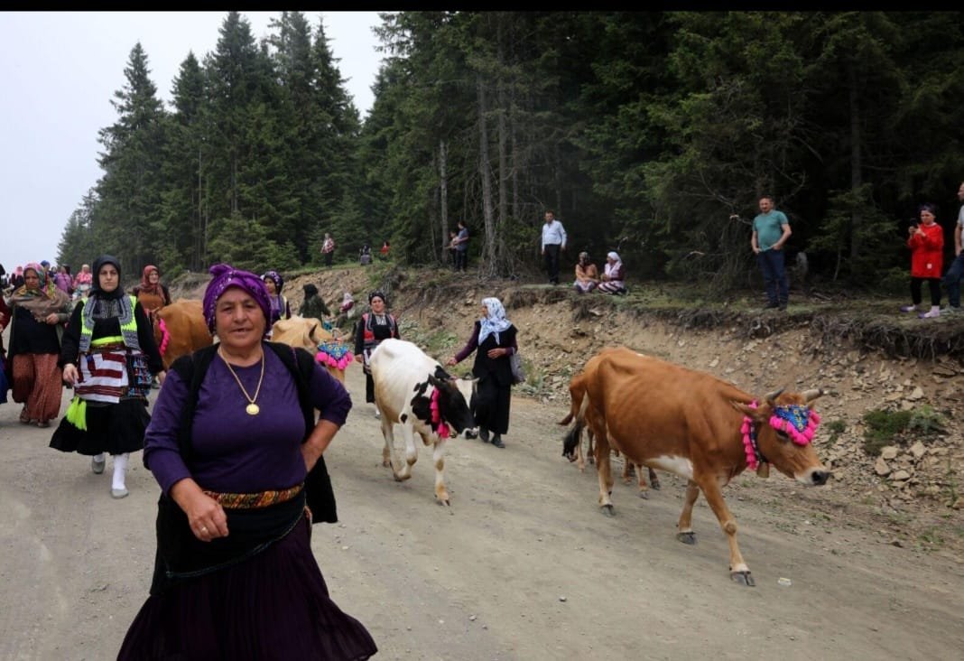 Çepni’nin Yayla Göçü