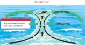KARADENİZ AFFETMEZ: CESARET YETMEZ, BİLGİ DE GEREKİR